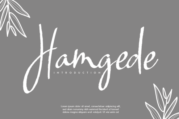 Hamgede Font Review: A Delicate Script for Branding