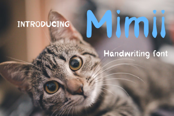 Mimii Font: A Fresh Typeface for Small Brands