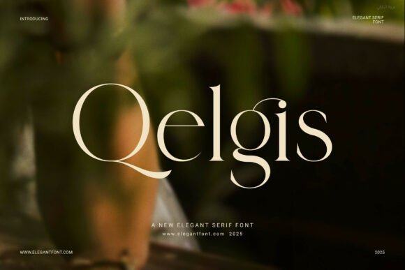 Qelgis: A Designer’s Honest Review for Branding