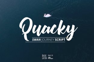 Quacky Font: A Playful Typeface for Branding